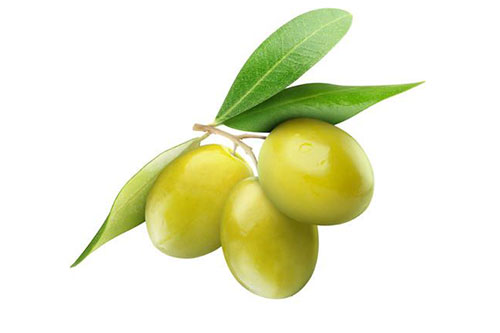 egcrops