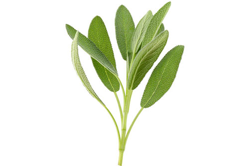 egcrops
