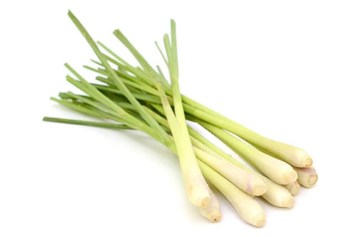 egcrops