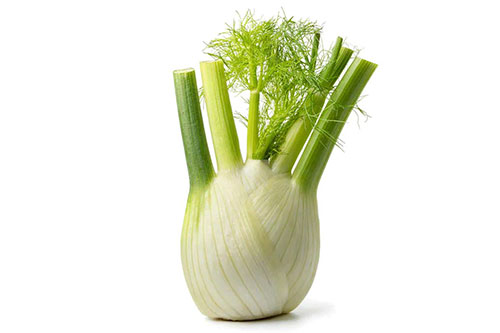 egcrops