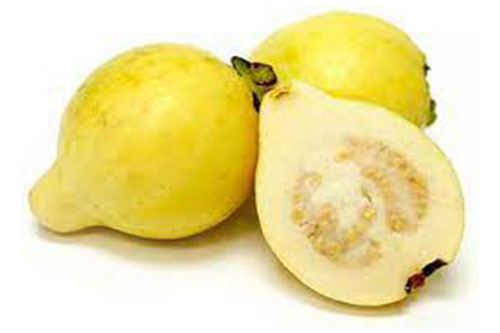 egcrops