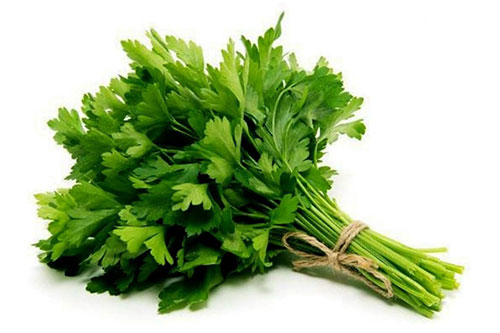 egcrops