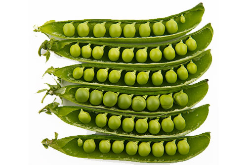 egcrops