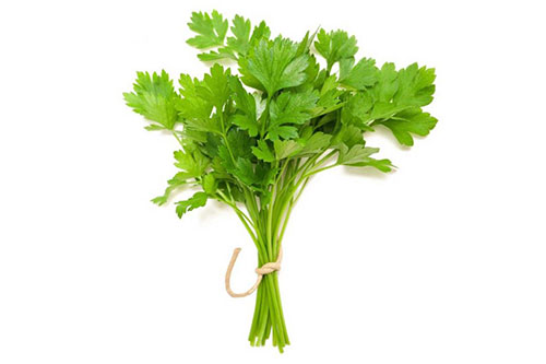 egcrops