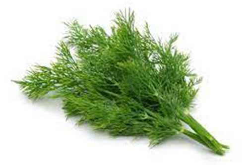 egcrops